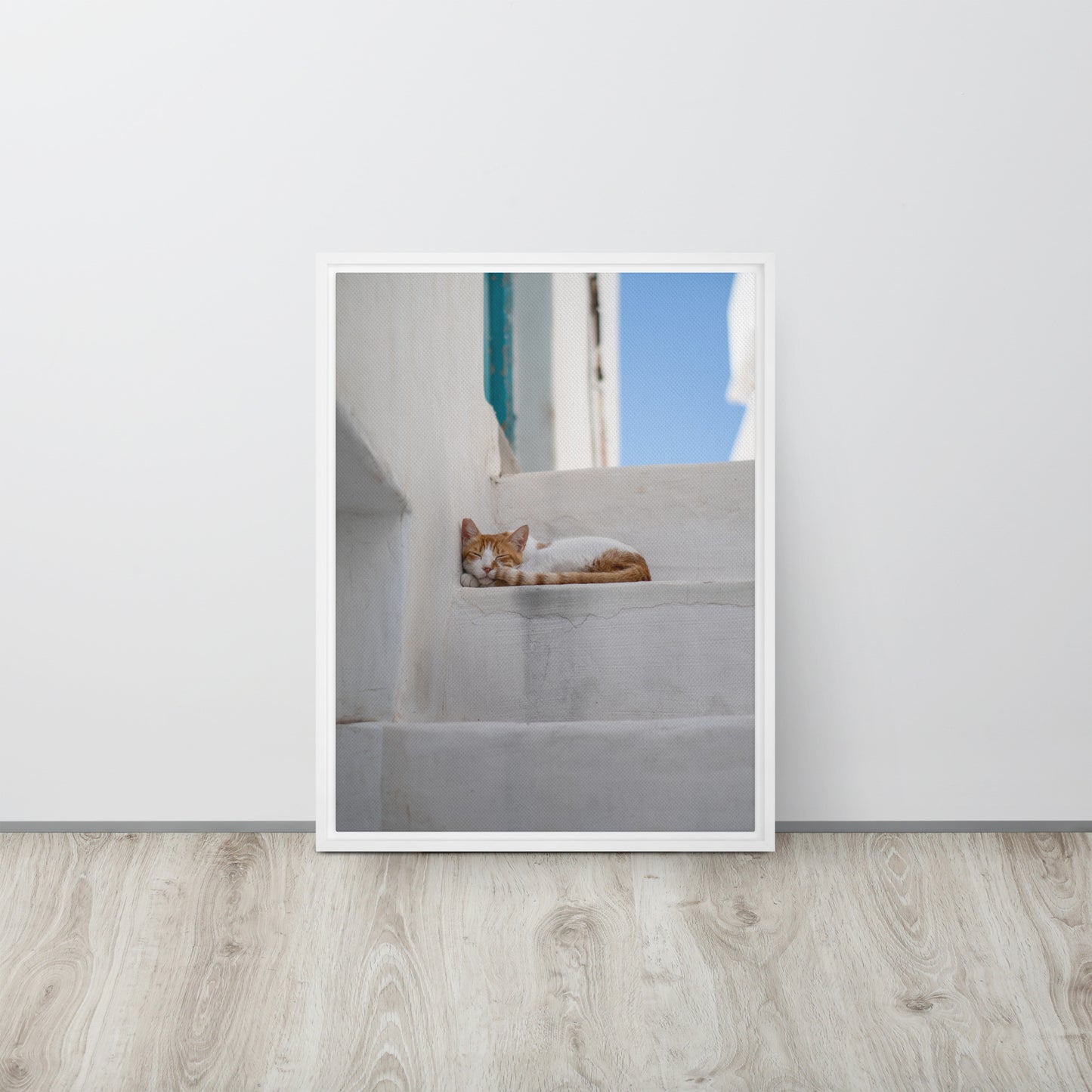 Mykonos Cat Framed canvas