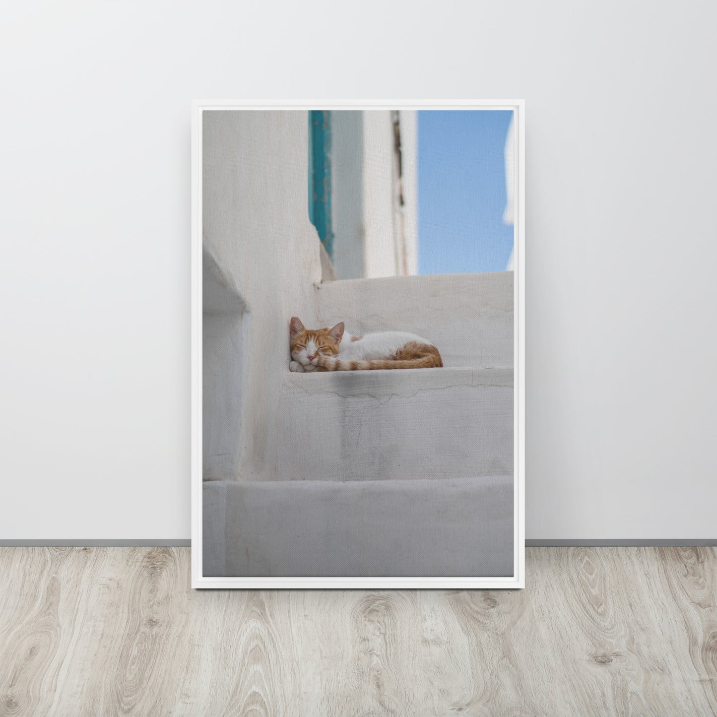 Mykonos Cat Framed canvas