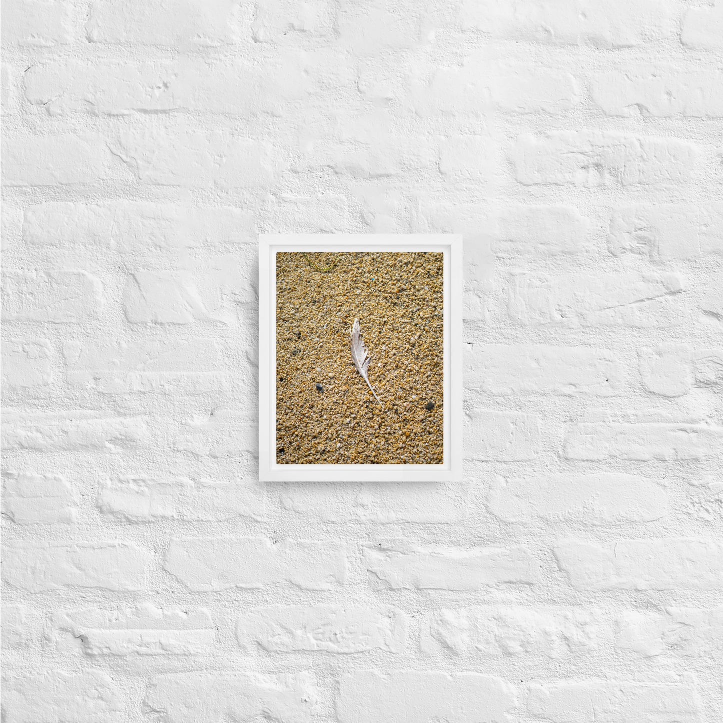 The Lone Feather Framed canvas