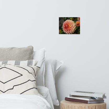 Orange Dahlia Metal Print