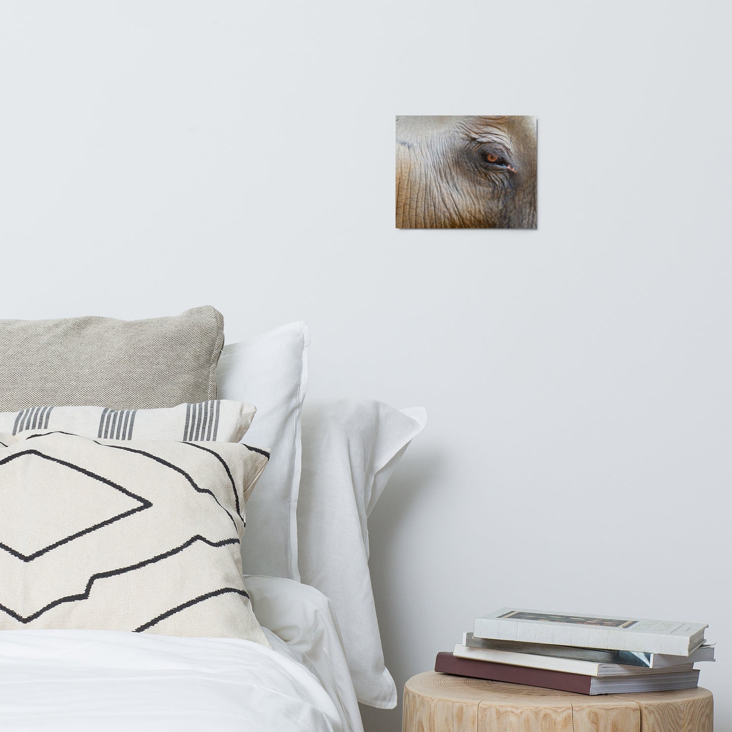 The Elephant's Eye Metal Print